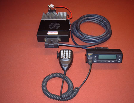 QM1 981